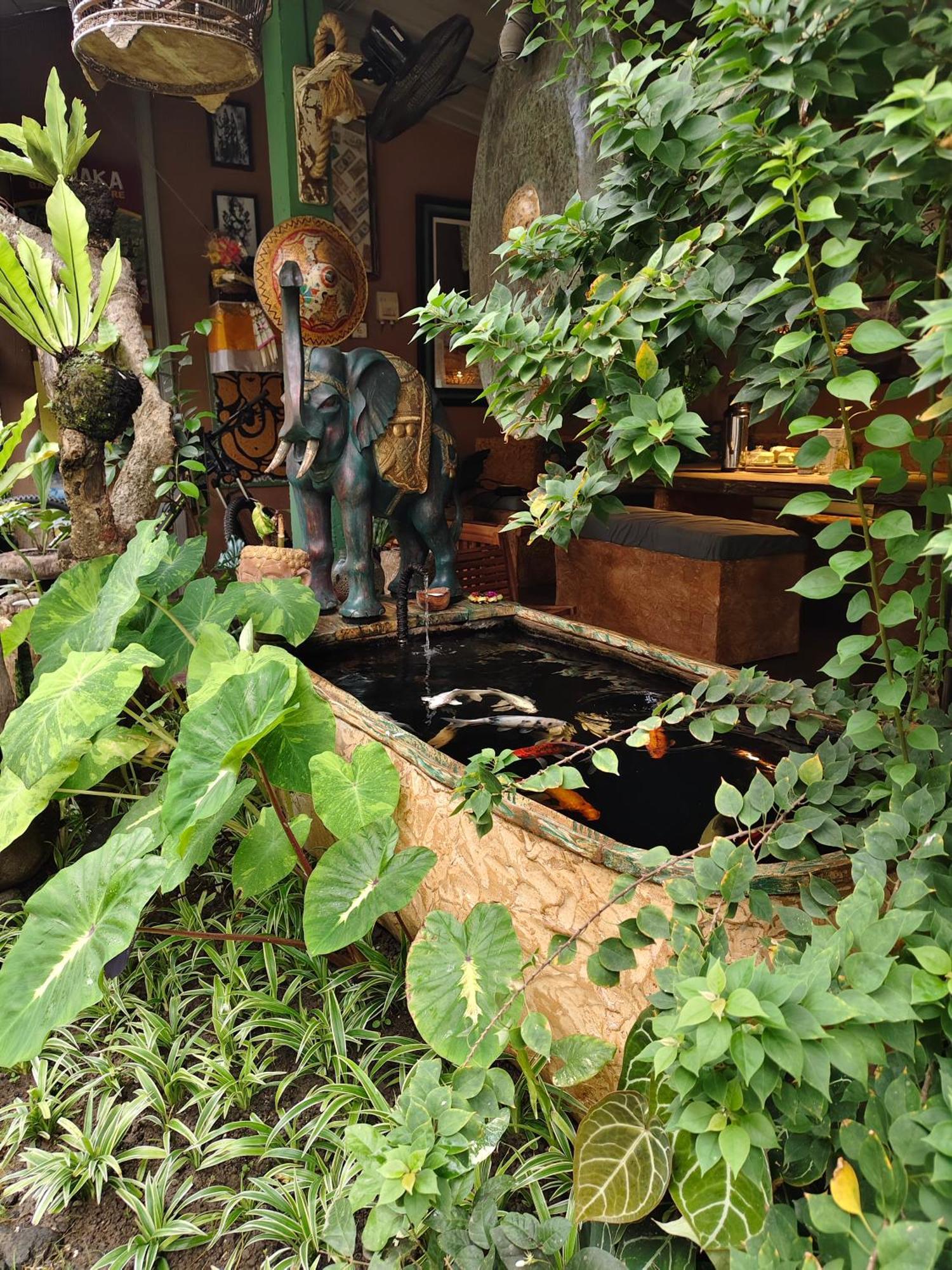 Vin Vin Vandrehjem Ubud Eksteriør billede